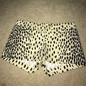 jcrew designed shorts